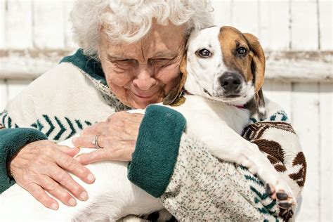 dance with my dogs in the night time meaning exploring the depths of human-animal bond